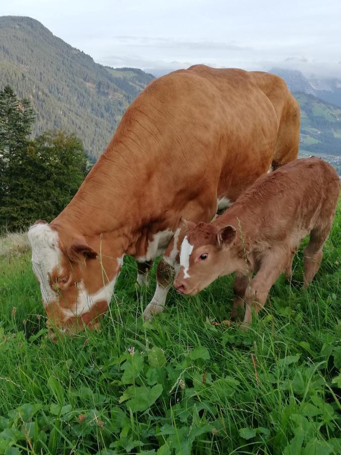 Hahnenkammblick Villa Kitzbühel Eksteriør billede