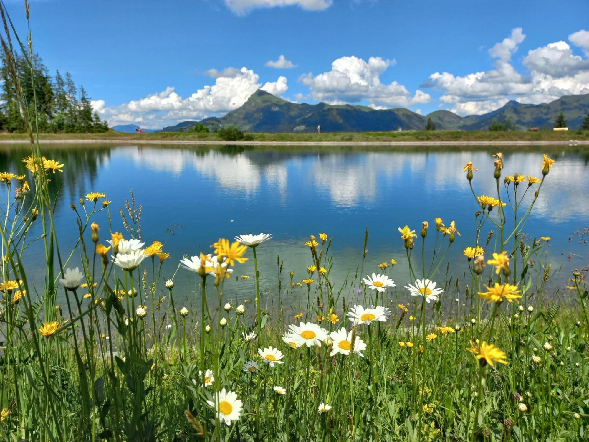 Hahnenkammblick Villa Kitzbühel Eksteriør billede