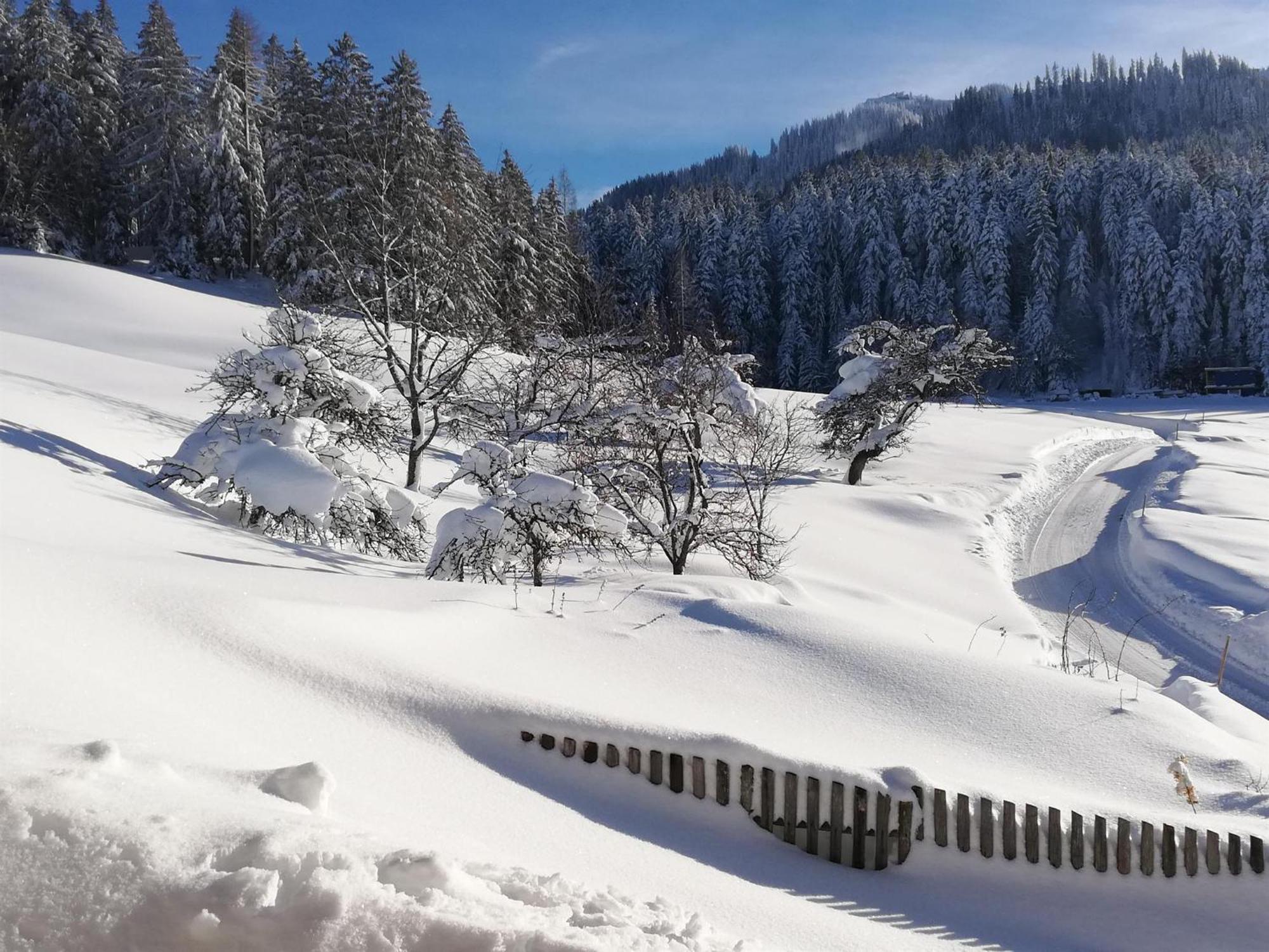 Hahnenkammblick Villa Kitzbühel Eksteriør billede